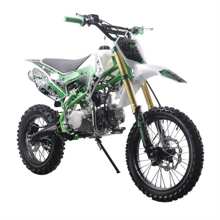adult pit bike 3
